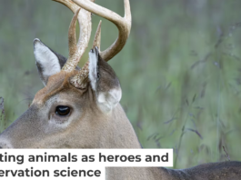 When species are described as ‘destructive’ or ‘harmful’ without sufficient context, it can shape how people perceive and treat them. Beata Whitehead/Moment via Getty Images